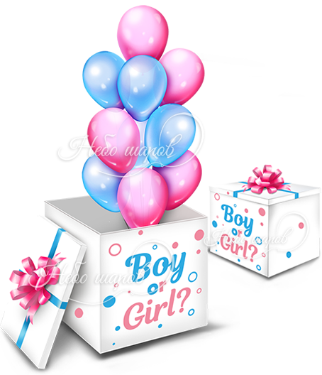 Коробка сюрприз «Boy or Girl?»
